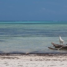 Little boat with wings on the beach